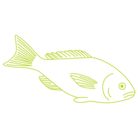 Protect the Fish